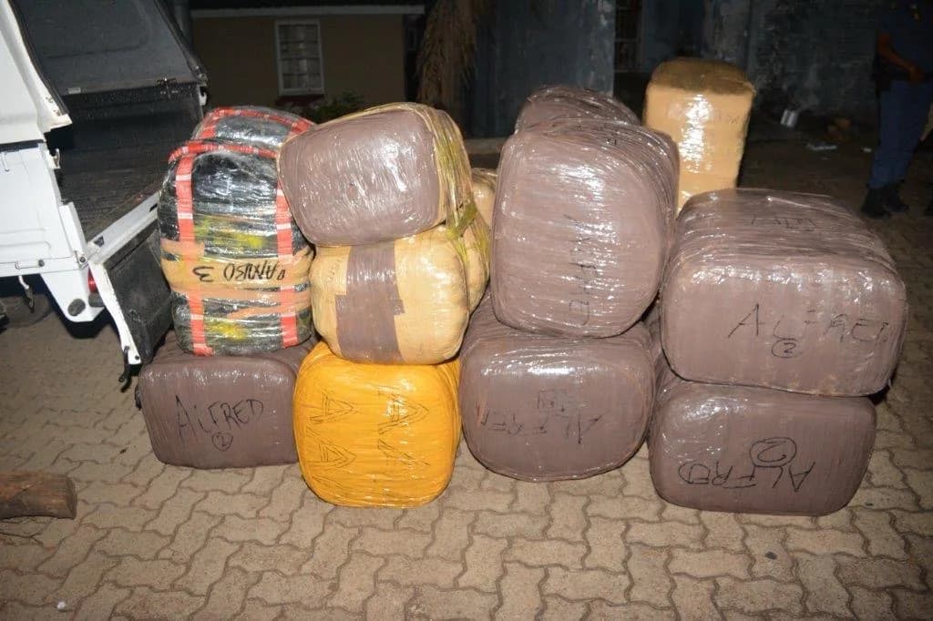 Police Seize Dagga Worth R2.4 Million