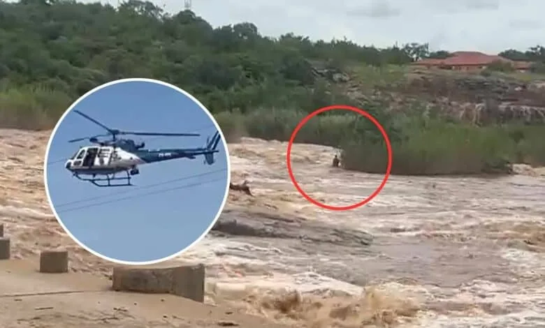 Rescued from River: Teen Survives Ordeal