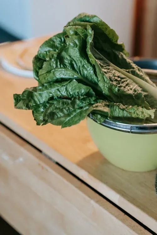 The Remarkable Health Benefits of Eating Spinach