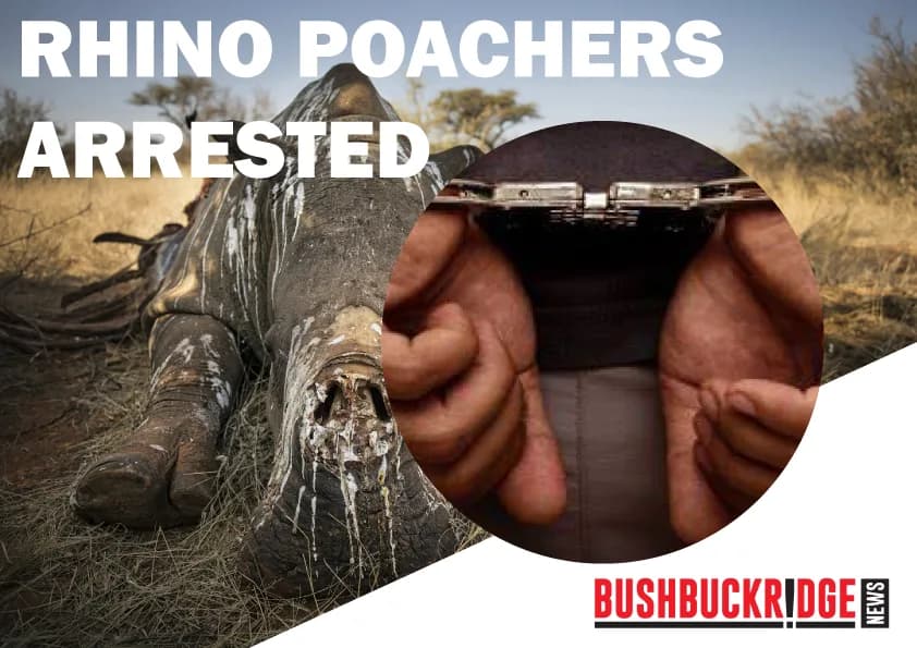 Mozambican Nationals Arrested for Poaching in Kruger
