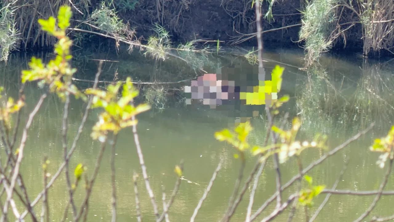 Three Zimbabwean bodies retrieved from Nkomazi River