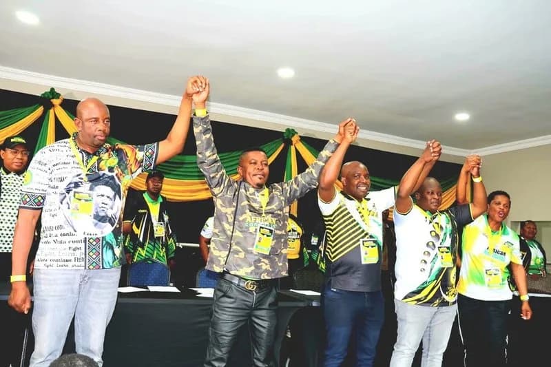 New ANC Waterberg Chair Criticises Mathabathaâs Exit Reasons