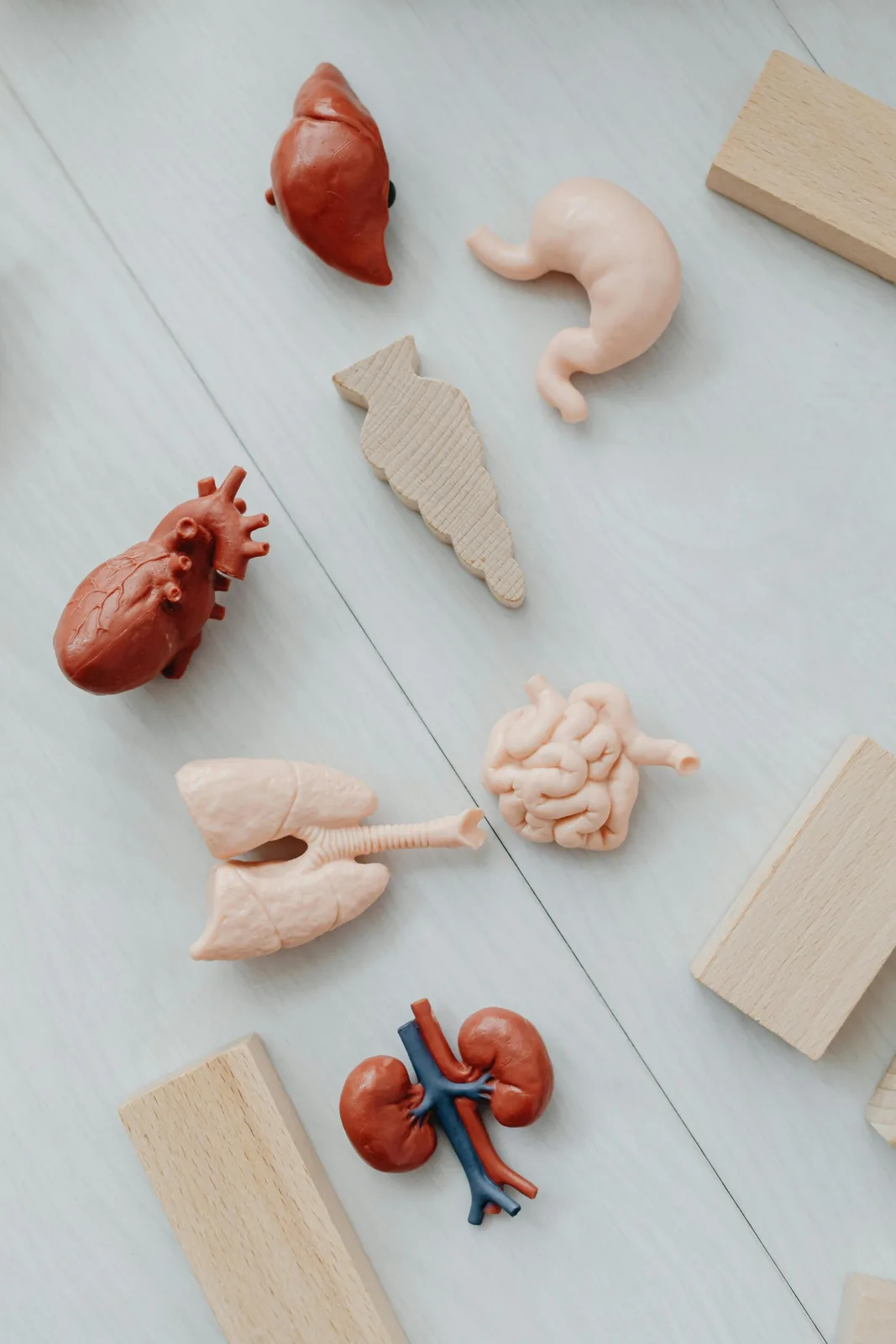 Silent Killer: Raising Awareness on Kidney Disease