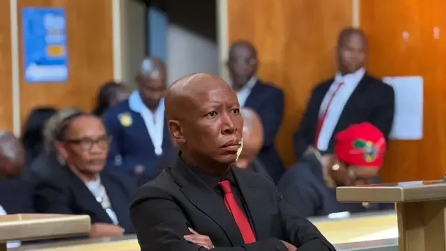 Malema Found Guilty in Firearm Case