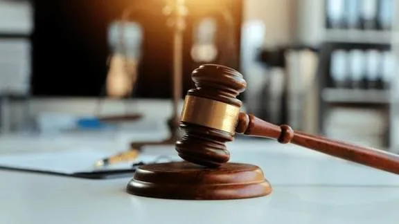 Driver Sentenced for Counterfeit Goods