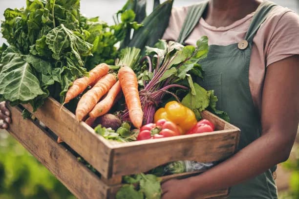 Research Key to Safeguarding Food Future