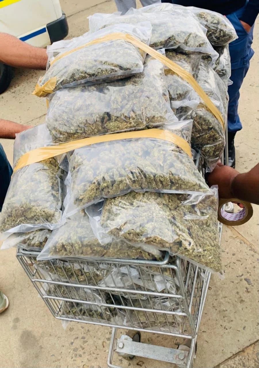 Foreign National Arrested with Dagga Haul