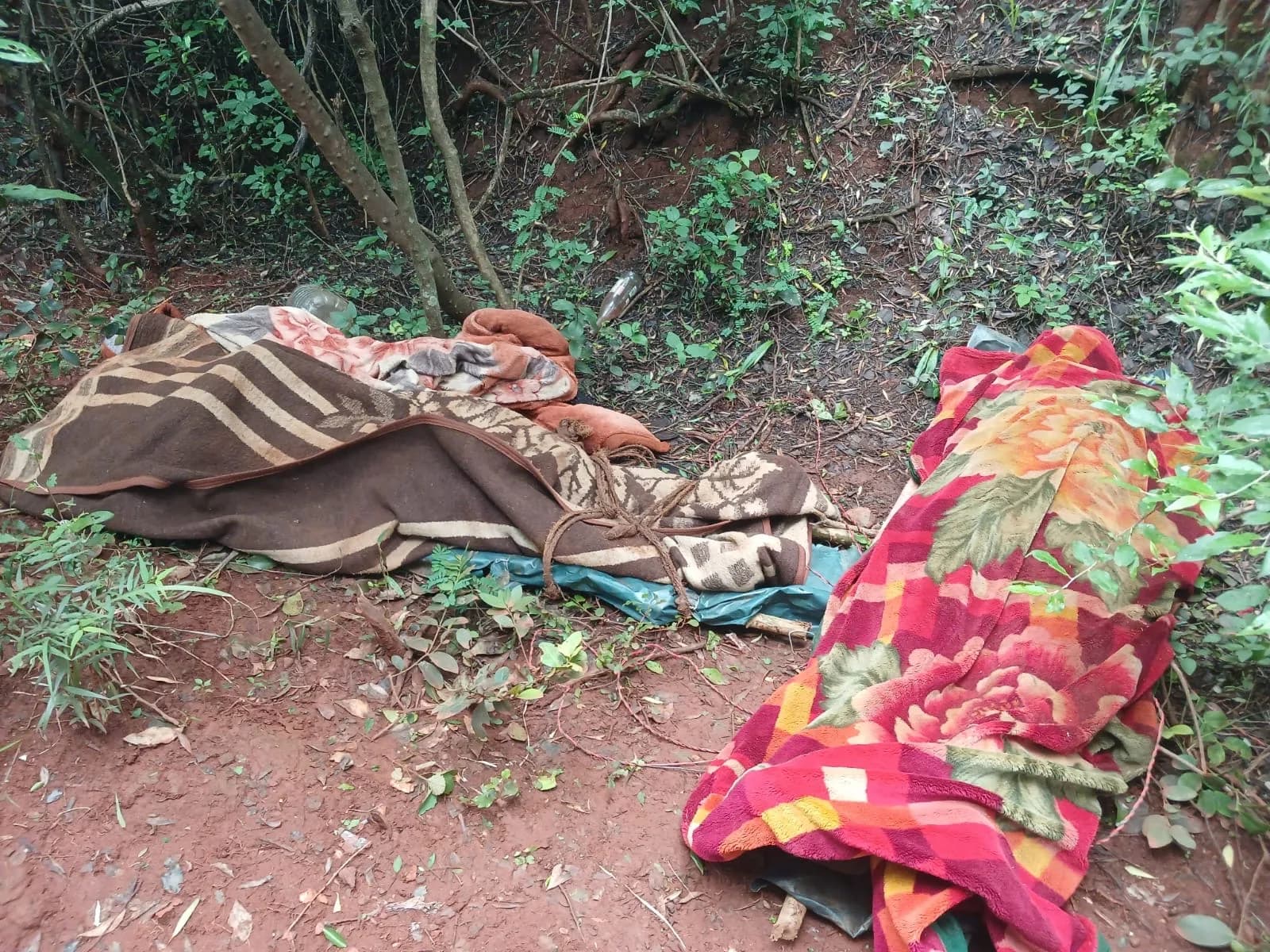 Police probe discovery of two bodies near Lily Mine