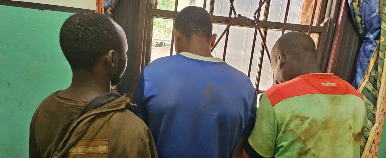 Illegal Mining Crackdown in Mpumalanga