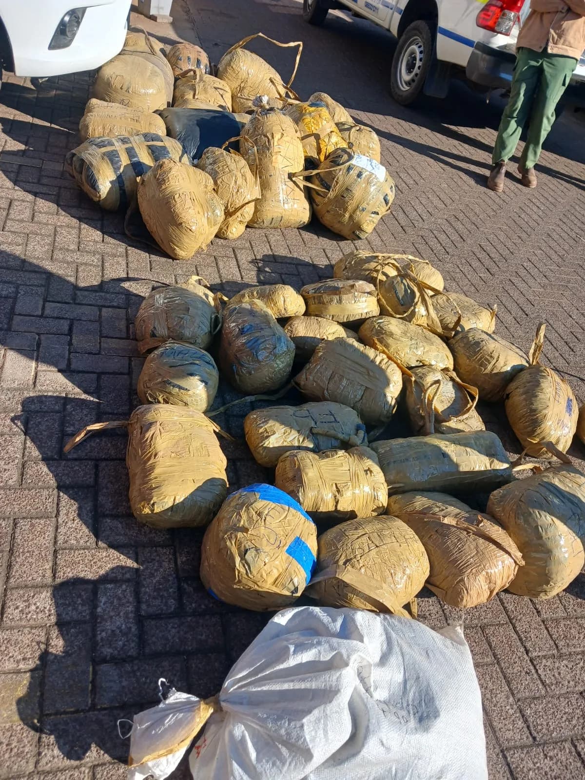Two Arrested After Police Seize Dagga Worth R1.2 Million Near Middelburg